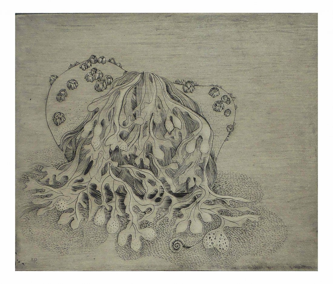 Andre Racz - Barnacles and Seaweed: Etching and aquatint on paper. 1942. Signed and dated in pencil lower right, "Andre Racz 42". Edition 20/50. [Image: 4" x 5"; Sheet: 8 1/2" x 9 1/2"]. Toning, otherwise good condition.