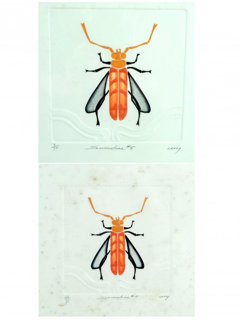 Cecy, Insect Prints (1 of 10)