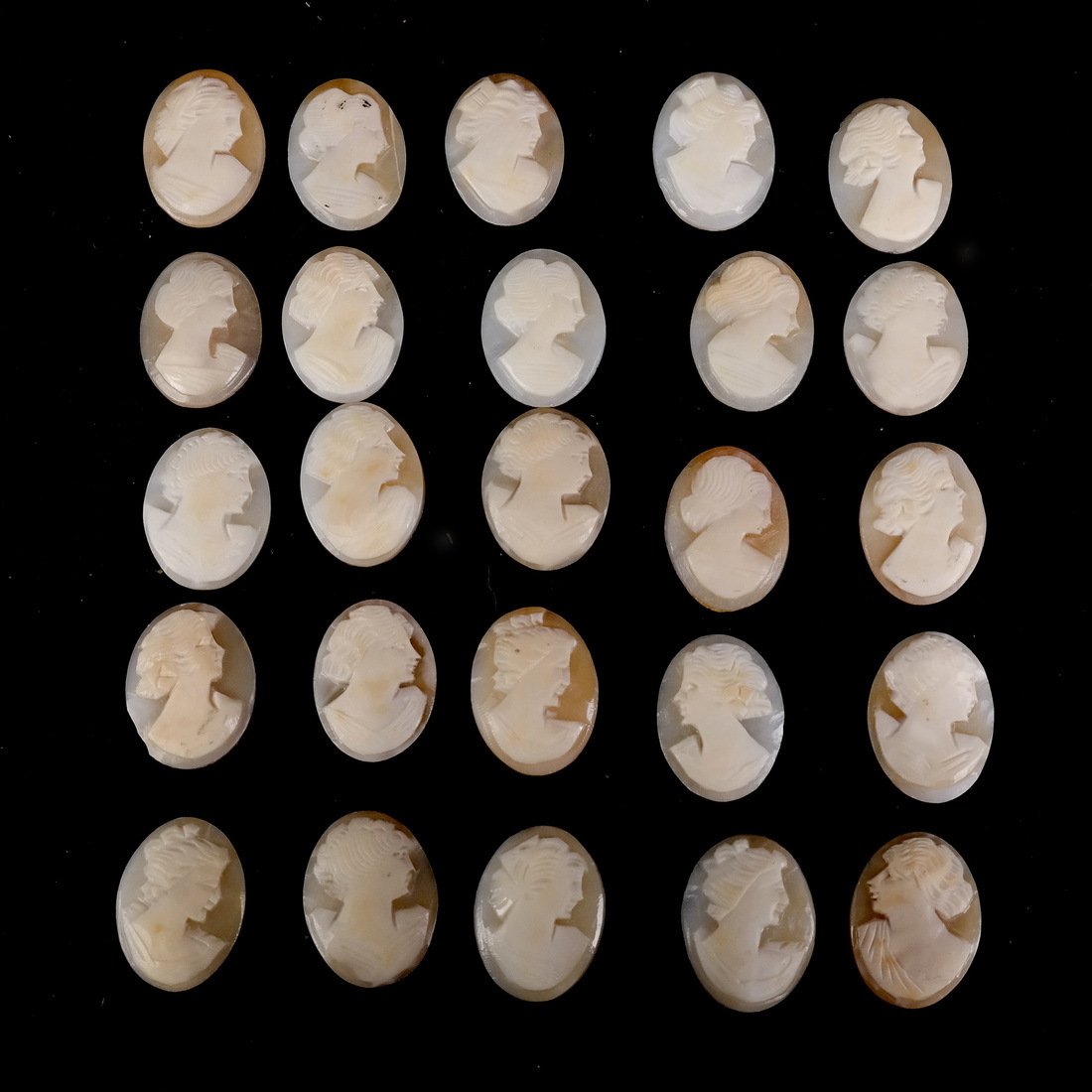 Lot of 24 Carved Shell Cameos: Lot of 24 carved shell cameos of women in profile. In good condition.