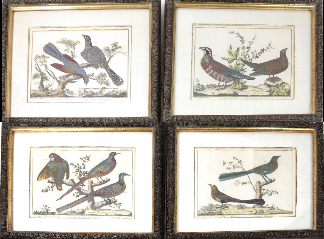 Four Hand-Colored Bird Engravings (1 of 8)