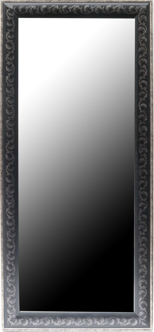 Ebonized and Silvered Rectangular Mirror (1 of 4)