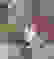 item-47591557=3