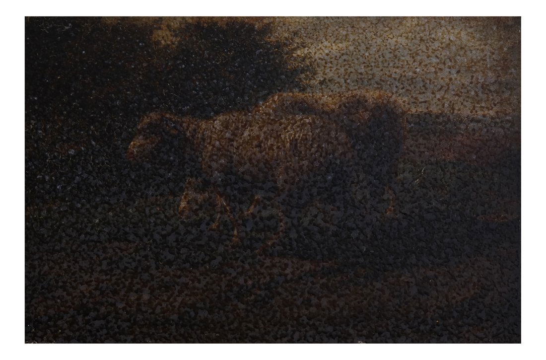 Sheep Grazing, Oil on Board (1 of 6)