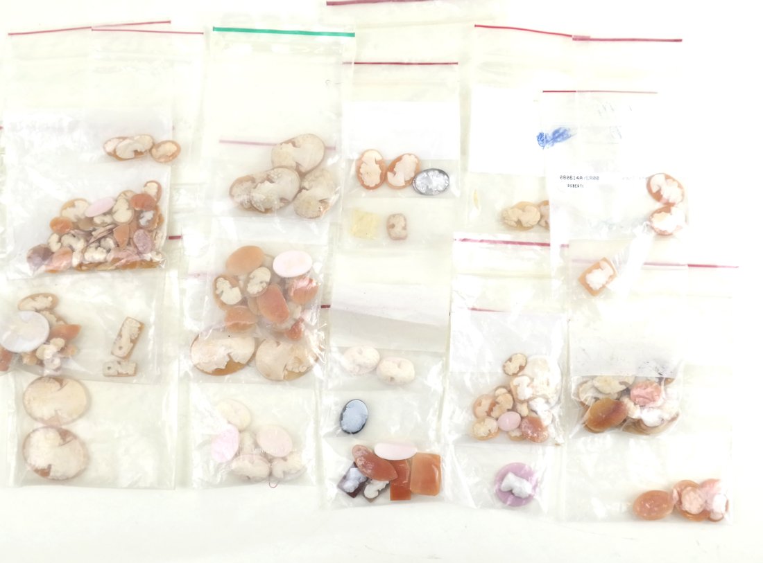 Lot of Unmounted Shell Cameos (1 of 6)