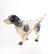 Four Painted Cast Iron Dogs - 5
