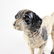 Four Painted Cast Iron Dogs - 6