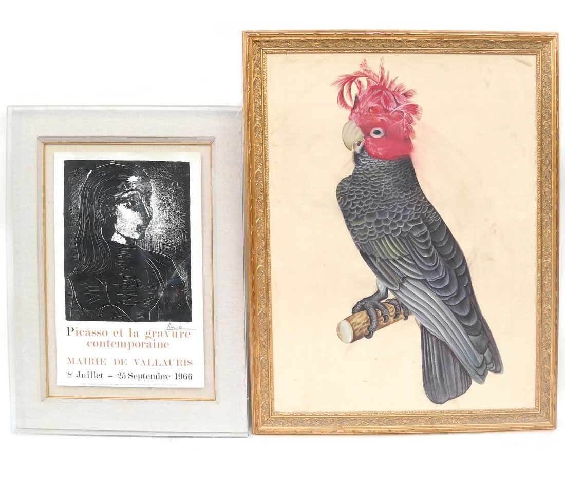 Two Prints, A Picasso And A Parrot (1 of 9)