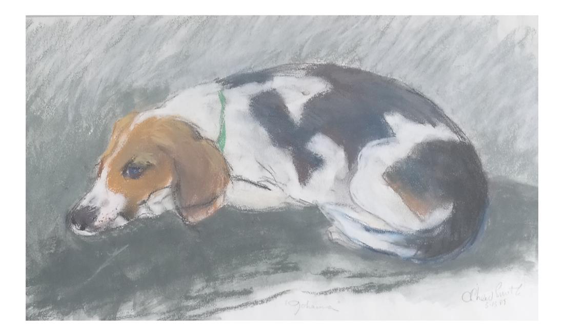 Resting Dog, Gouache: Framed gouache of a resting dog, possibly a beagle. Titled at bottom center, possibly: "Johana". Signed and dated bottom right. [Sight: 11" H x 19 3/8" W; Frame: 18 1/2" H x 27 1/4" W]. Not examined o
