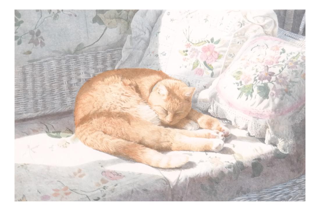 Sleeping Cat, Framed Colored Lithograph (1 of 5)