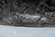item-9350072=2
