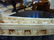 125: LARGE IVORY (Kuang Hsu Ivory Model) of an Imperial - 7