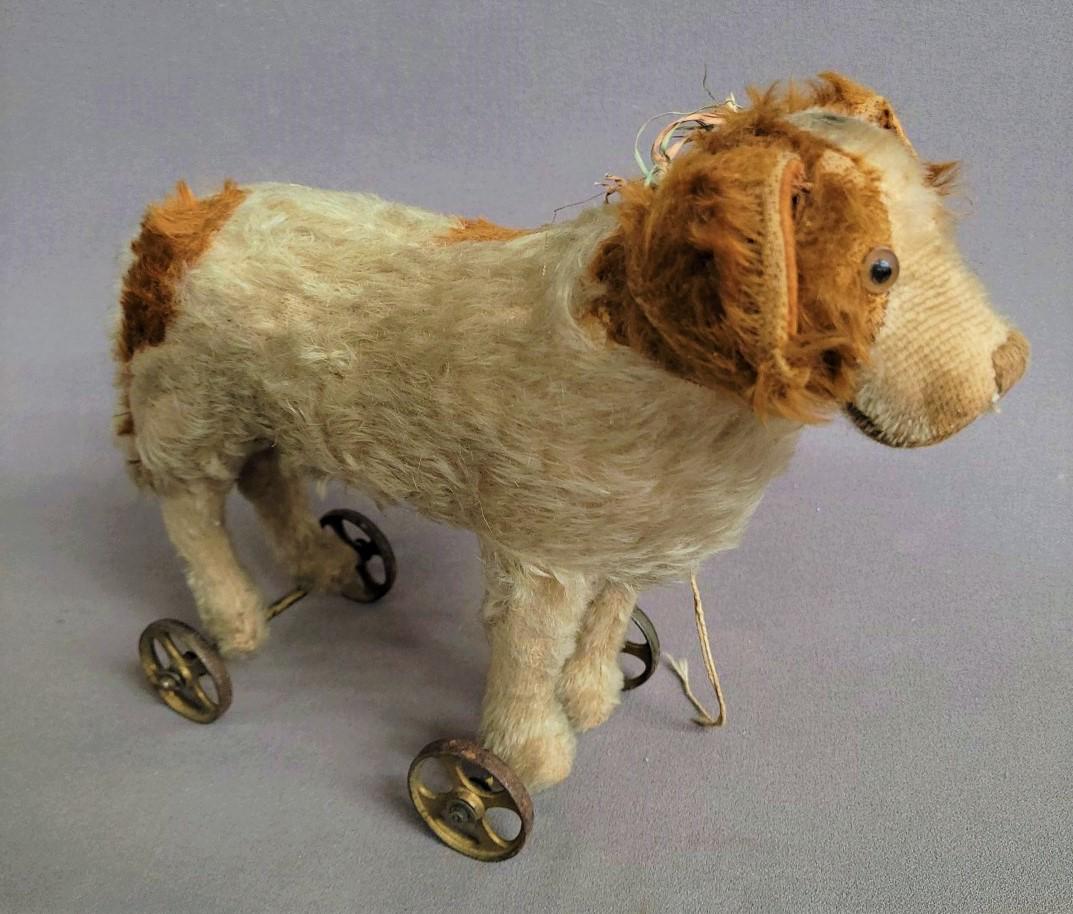 Circa 1910 Antique Steiff Dog on Cast wheels. Pull toy string still partially there. Has Hair Loss. (1 of 6)