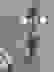 item-49780557=2