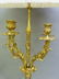 Circa 1860's Signed (H.Picard). Lamp with a gilt bronze - 3