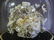 19th Century Glass Dome w/Hand Made Shell Floral - 3