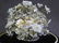 19th Century Glass Dome w/Hand Made Shell Floral - 4
