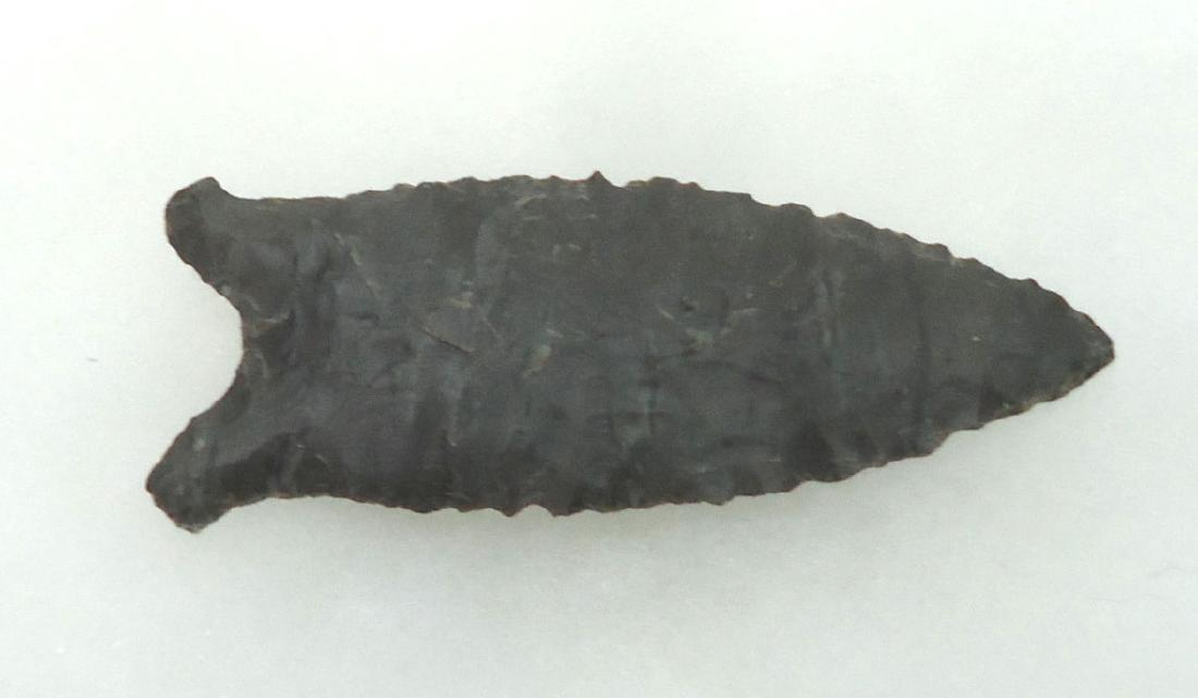 2 7/8" Arrowhead (1 of 2)