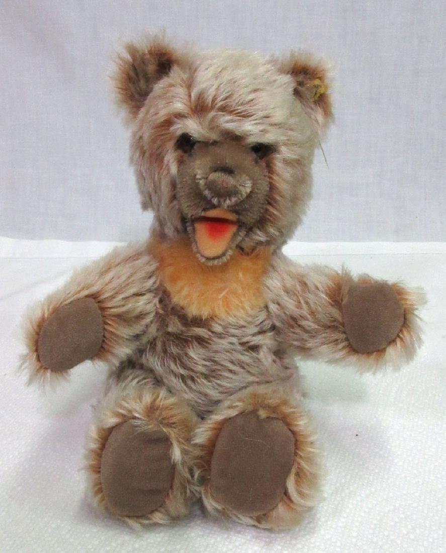 Steiff Bear: 9"T x 5"W