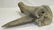 Indian Artifact Flint Blade in Bone Handle - 3