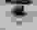 item-84526562=3