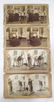 Stereoscopic Viewer w/ 8 Cards - 5