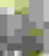 item-8581462=4