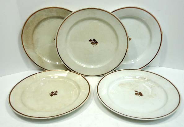 5 Tea Leaf Ironstone Plates: "Anthony Shaw" 10"