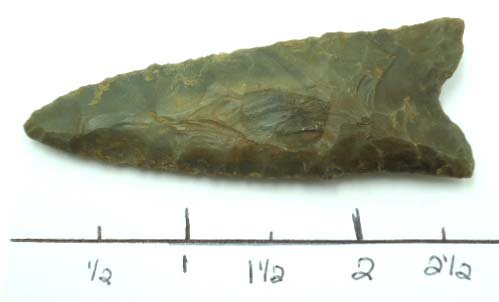 2 5/8" Dalton Point: 2 5/8"