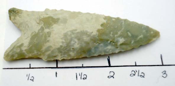 3" Dalton Point: 3"