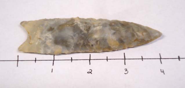 4 1/4" Dalton Point: 4 1/4"