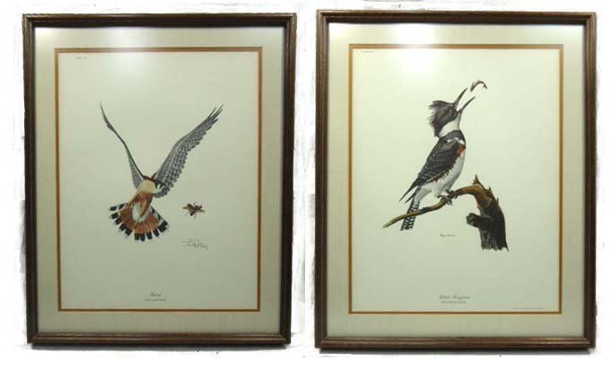 2 Ray Harm Bird Prints: 24" x 20 1/2" Frame