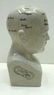 Phrenology Porcelain Head - 2