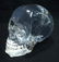 Lucite Skull Paperweight