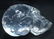 Lucite Skull Paperweight - 3