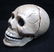 C.I. Skull Paperweight