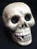 C.I. Skull Paperweight - 2