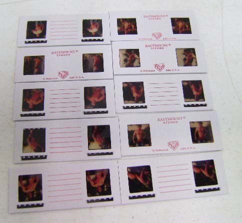 10 Stereo Slides Erotic Male Nudes: Probably Colt Studios