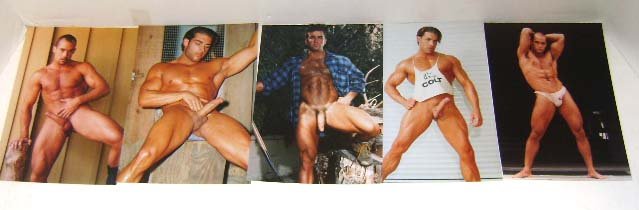 5 Erotic Silver Gelatin Male Nude Photos: Colt Studios 5"x7"
