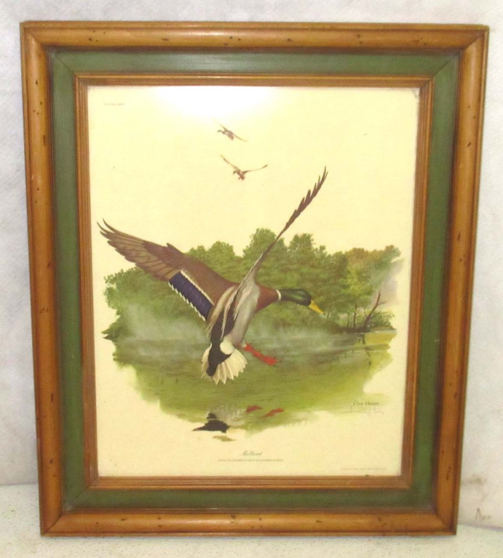 Ray Harm sgnd Duck Print (1 of 6)