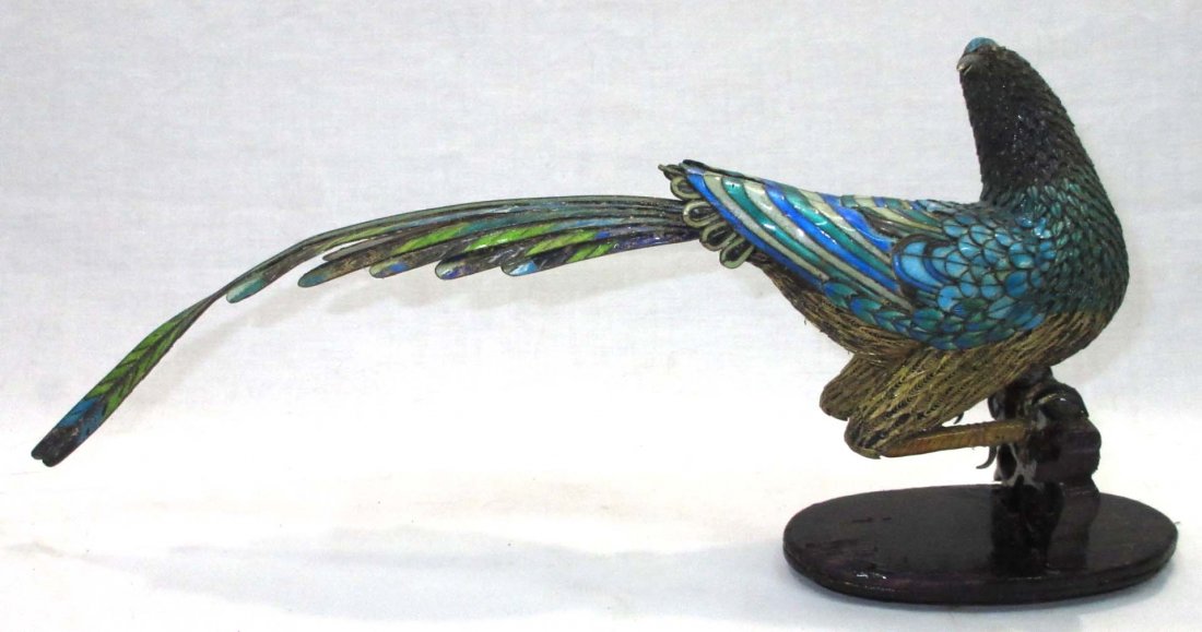 Silver Oriental Pheasant (1 of 7)