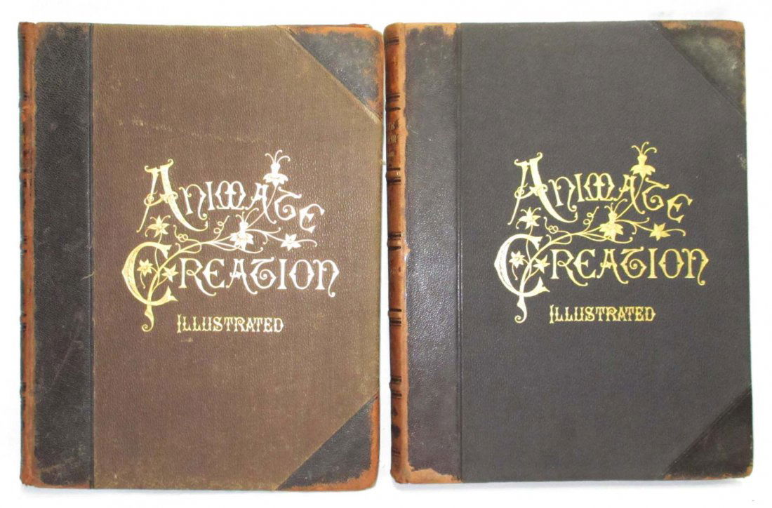 1898 Animate Creation 2 Vol. (1 of 10)
