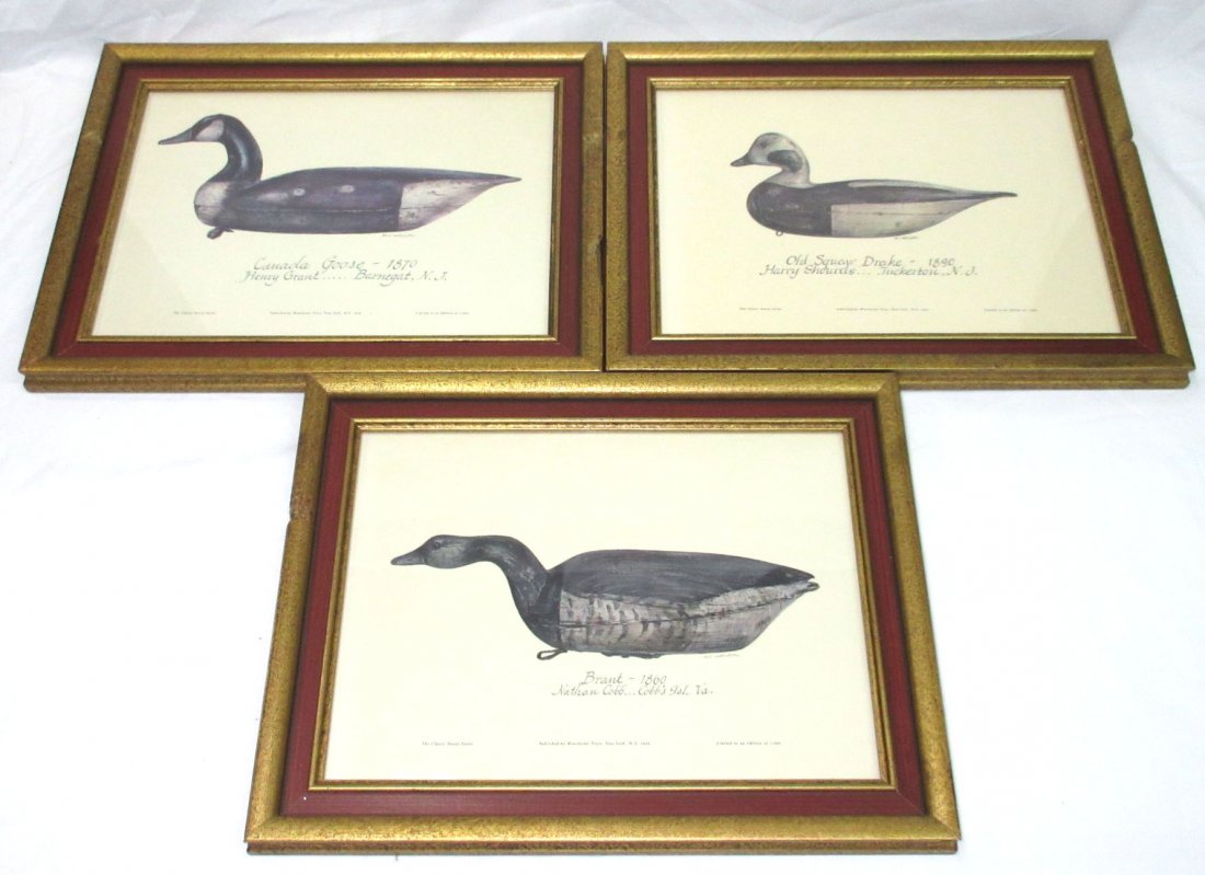 Set of 25 Decoy Prints (1 of 10)