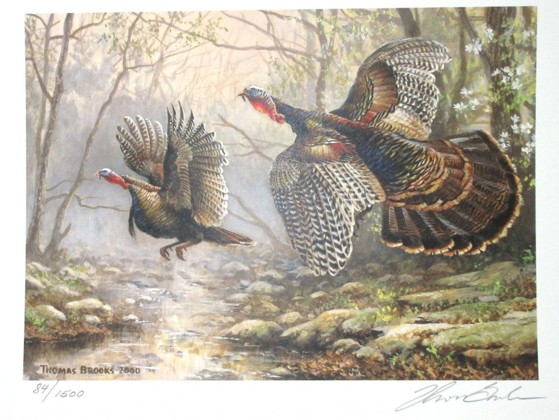 8 Ark. Turkey Stamp Prints (1 of 10)