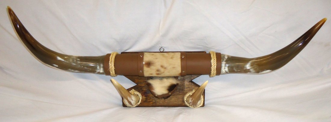 Steer Horn Wall Rack (1 of 5)