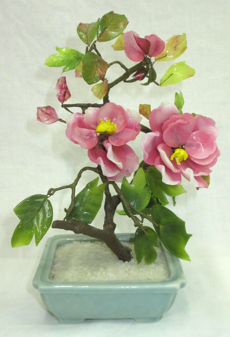 Oriental Jade Tree (1 of 5)