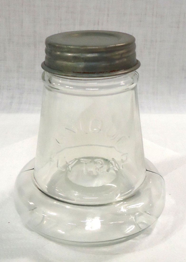 Glass Unique Fly Trap (1 of 4)