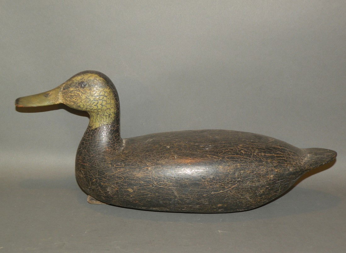 Black duck decoy: ca. 1900-30; hollow carved with visible "scratch style" paint, applied lead weight, leather line tie and used in NJ, 17 ½";