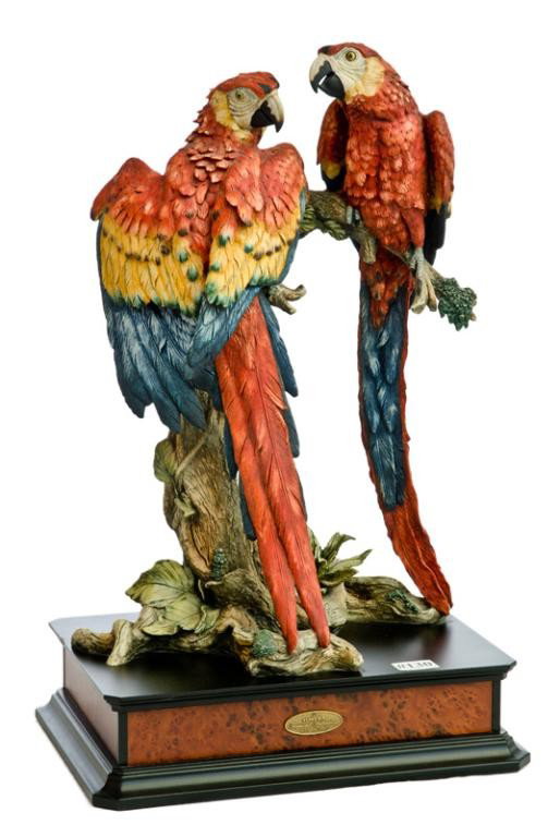 Giuseppe Armani double Parrot 26" T
