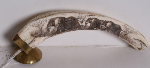 Carved scrimshaw ivory tusk with elephants: Carved scrimshaw ivory tusk with elephants. 6 1/2"