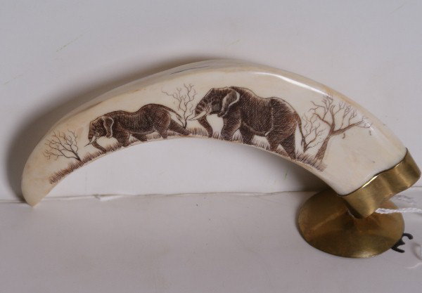 Carved scrimshaw ivory tusk with elephants: Carved scrimshaw ivory tusk with elephants. 5 3/4"